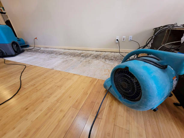 Professional Structural Drying technician working in Utica, MO